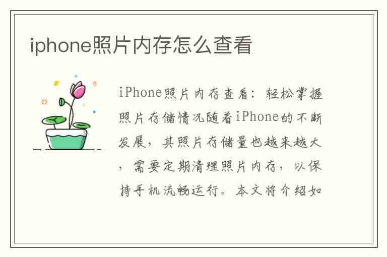 iphone照片内存怎么查看